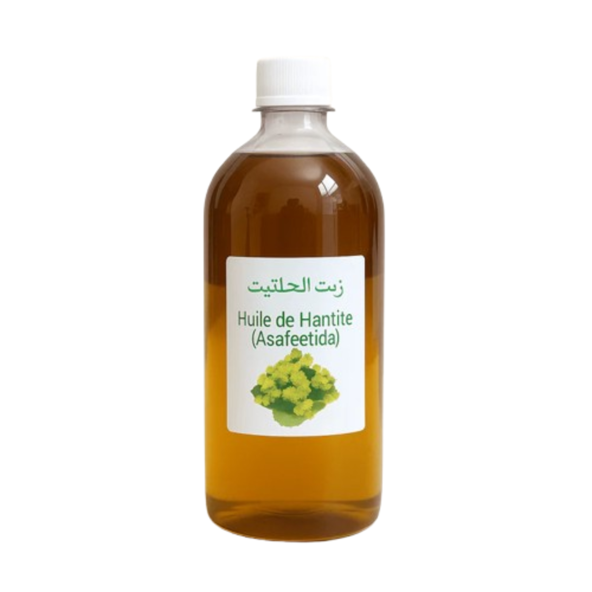 Huile Ase Fétide Halteet - Asafoetida 1L