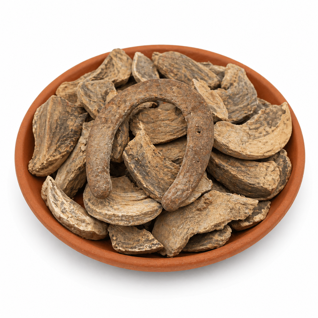 Sabots de Cheval El Frakech 50g / 100g / 200g – أظافر الحصان Encens Traditionnel