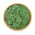 Flyou Menthe Poivrée 50g / 100g / 200g – Plante Aromatique Naturelle