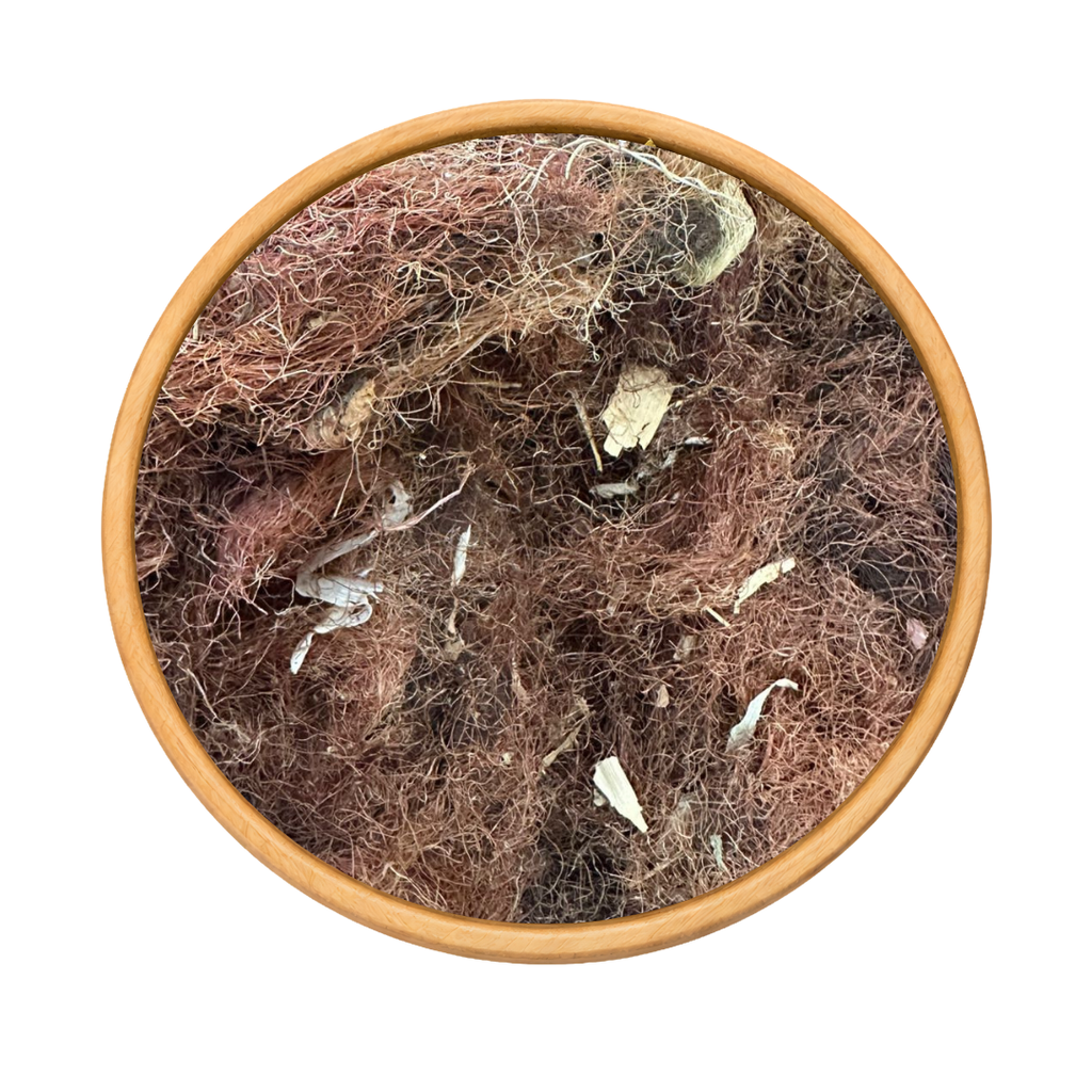 Stigmates de Maïs 100g / 200g / 500g / 1000g – Tisane Naturelle & Soin Cheveux