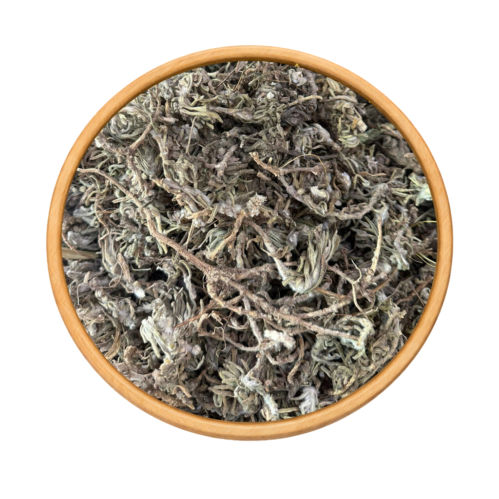 Germandrée Chenkdoura 50g / 100g / 200g – Herbe Sauvage Naturelle
