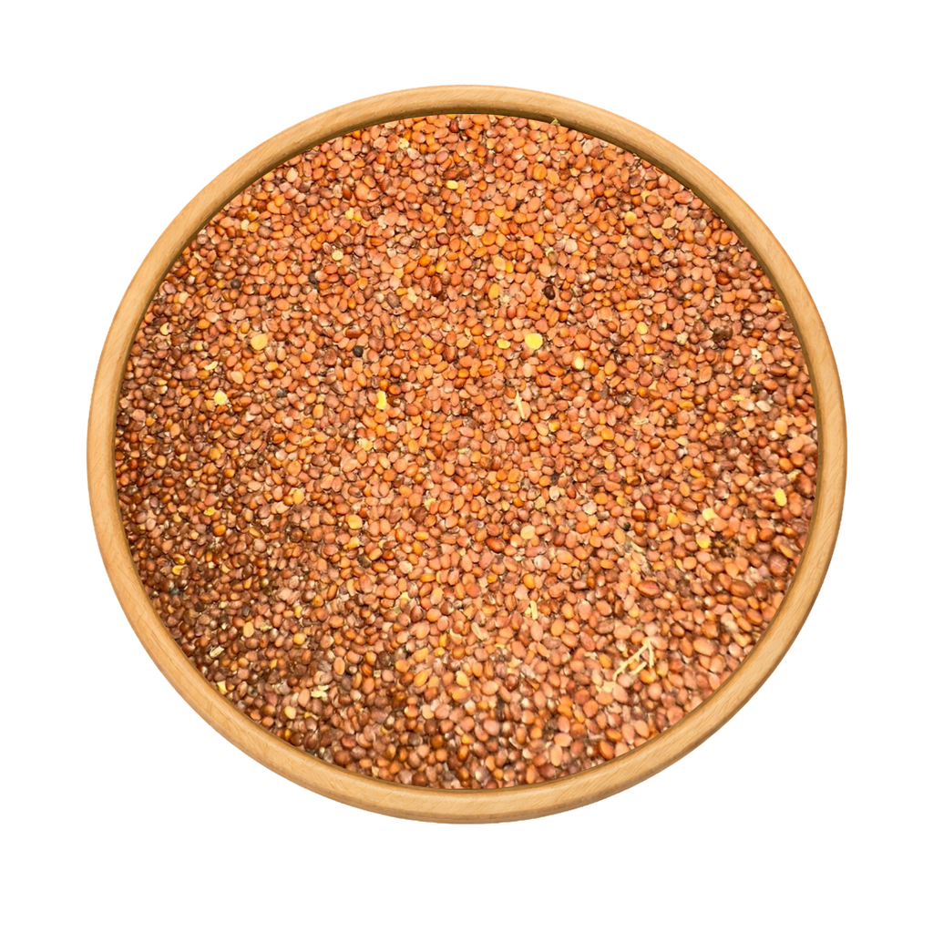 Graines de Radis – Naturelles pour Culture & Microgreens