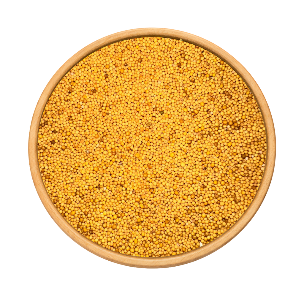 Graines de Moutarde Jaune – Douces & Aromatiques