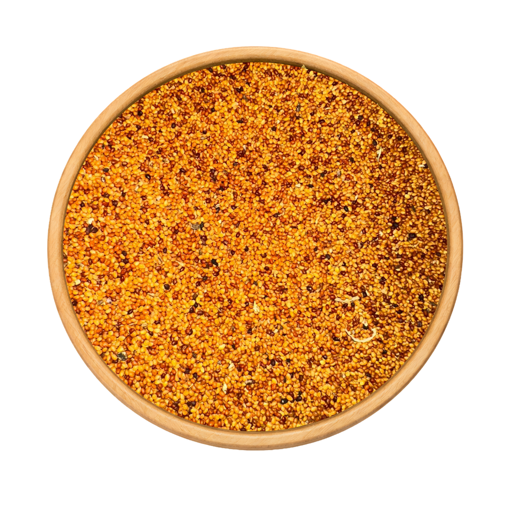 Graines de Luzerne (Alfalfa) – El Fassa حبوب الفصة