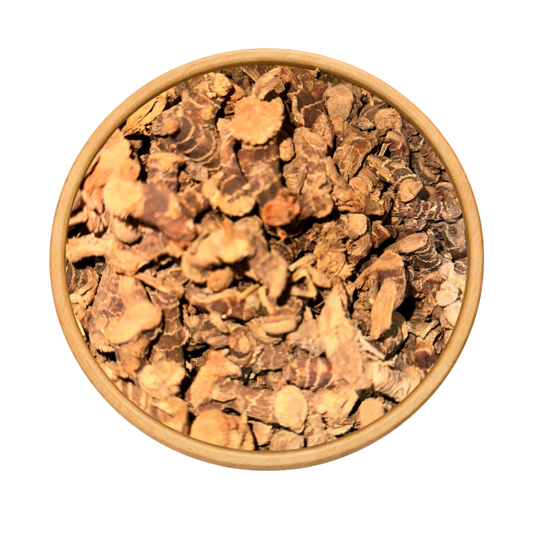 Khoudanjal (Galanga) – Racine Aromatique Naturelle