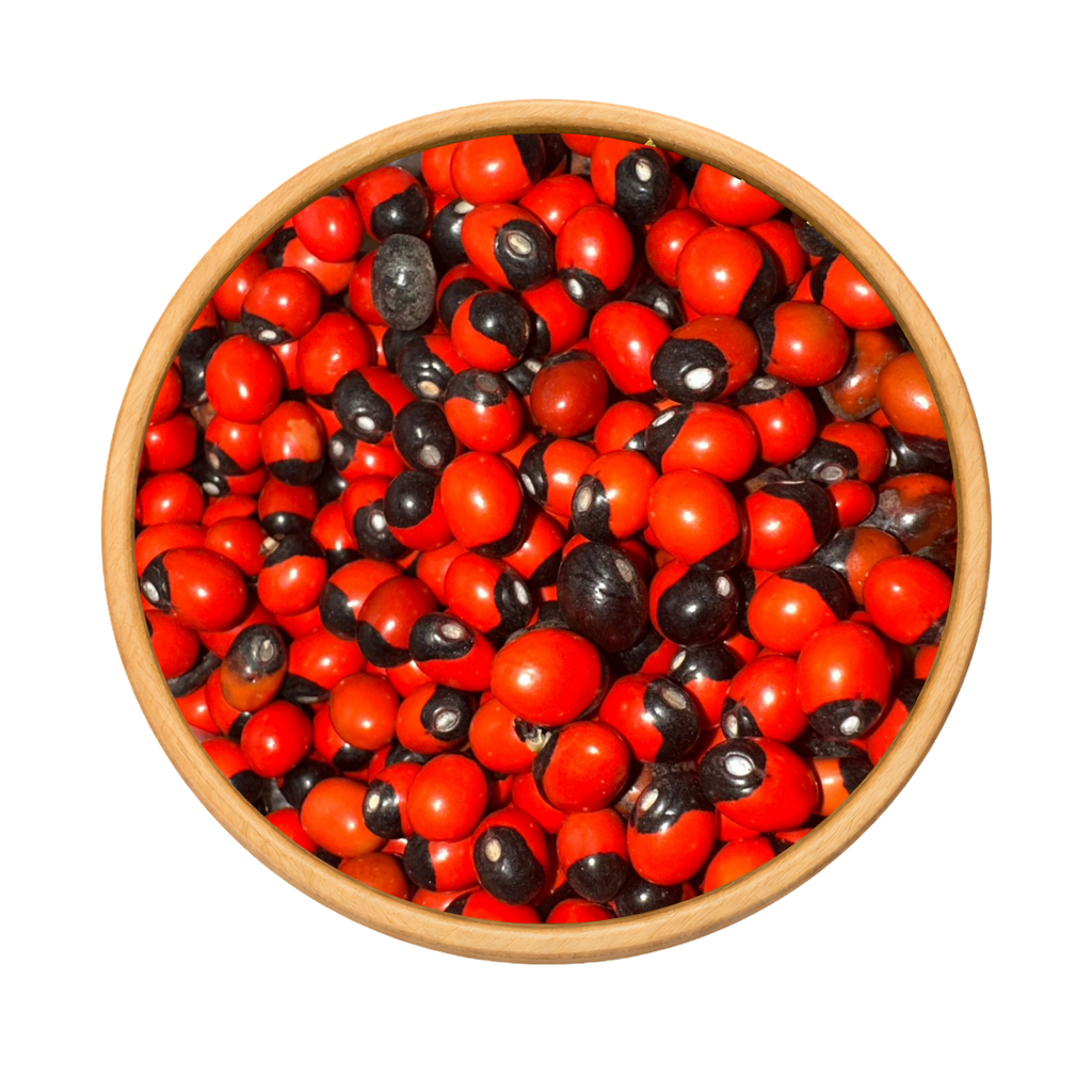 Habat El Achek – Graine Traditionnelle Symbolique