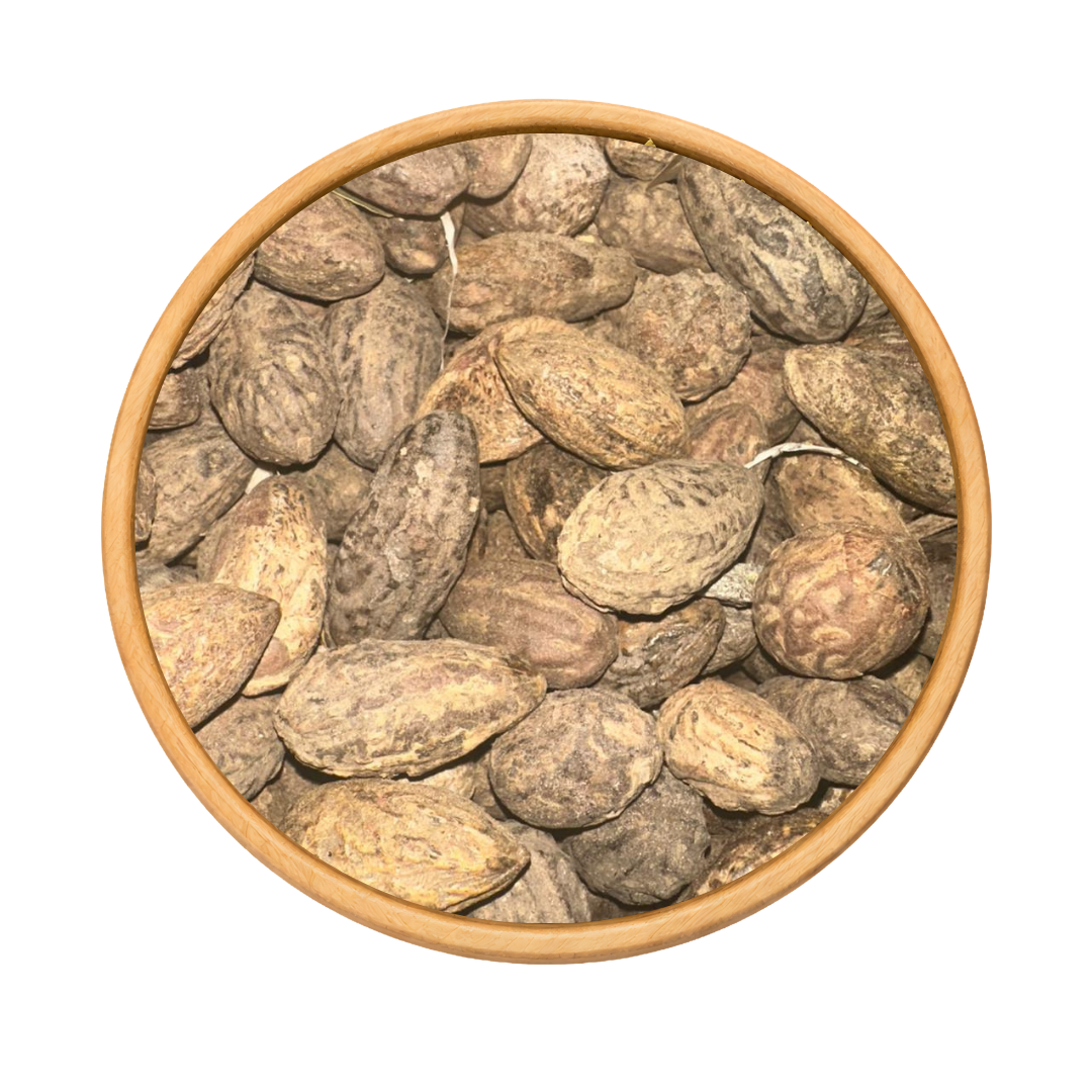 AUD Salib – Bois Parfumé Traditionnel El Salib