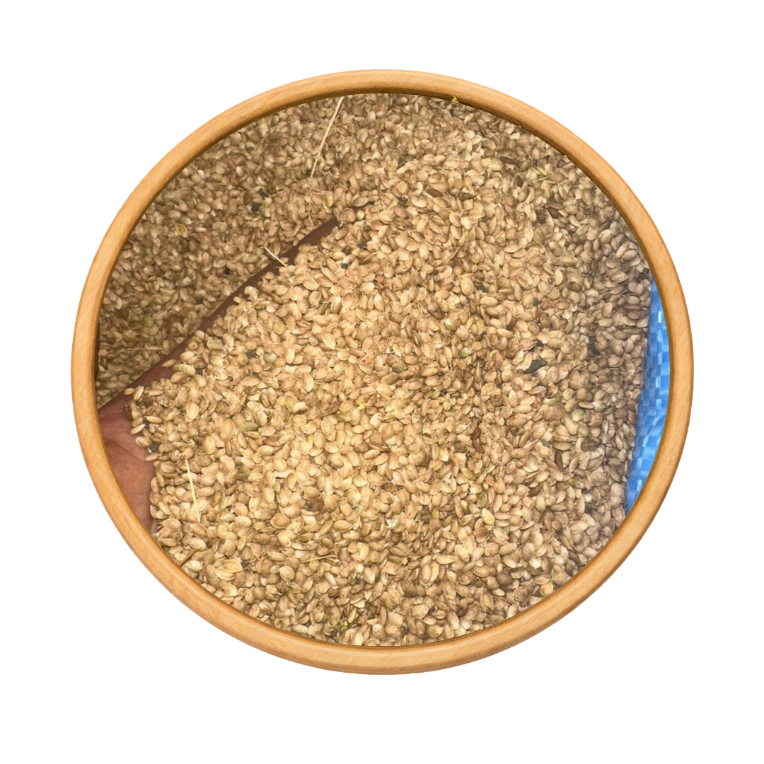 Zroda Mahaleb – Graines de Mahaleb Aromatiques