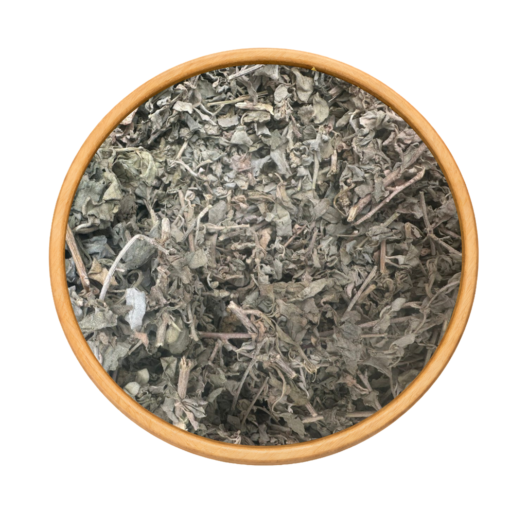 El Gtaff Maleh – Atriplex Halimus Plante Sauvage
