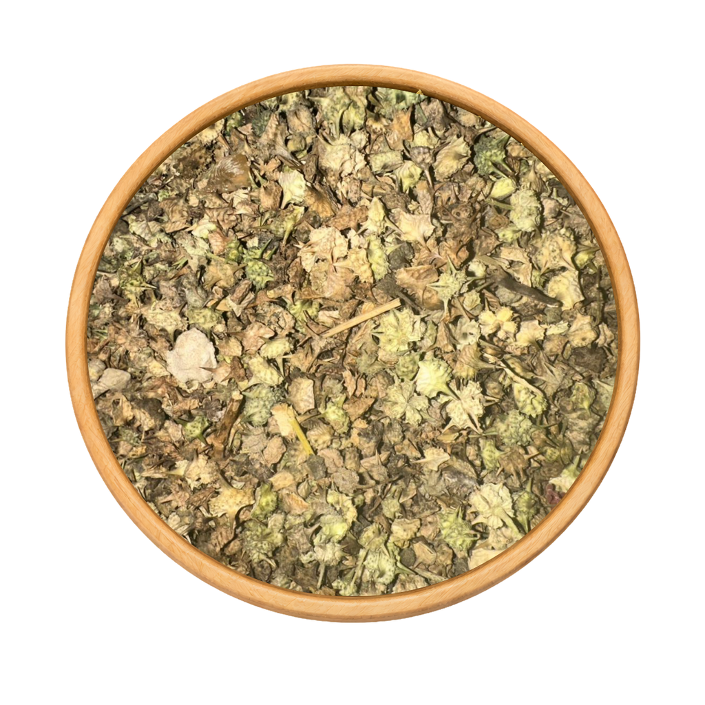 Tribulus Terrestris – El Hesska Plante Sauvage