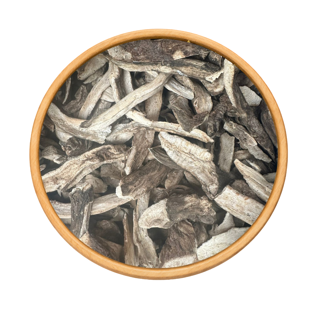 El Tafgha – Rhaponticum Acaule Plante Sauvage