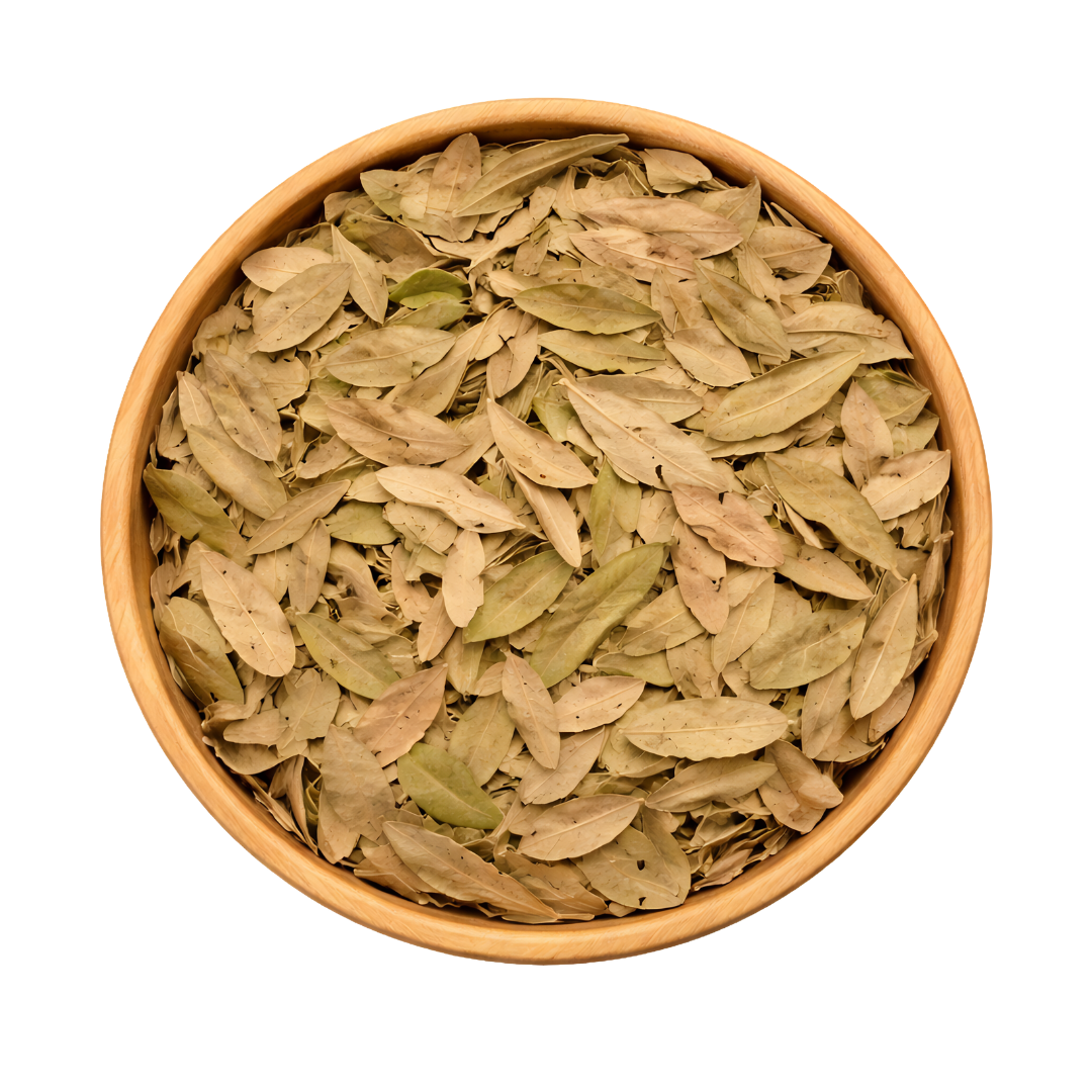 Feuilles de Pistacia lentiscus (El Darw الضرو) – Infusion & Bien-être Naturel