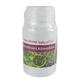 Ginkgo Biloba 60 Gélules | Mémoire & Circulation