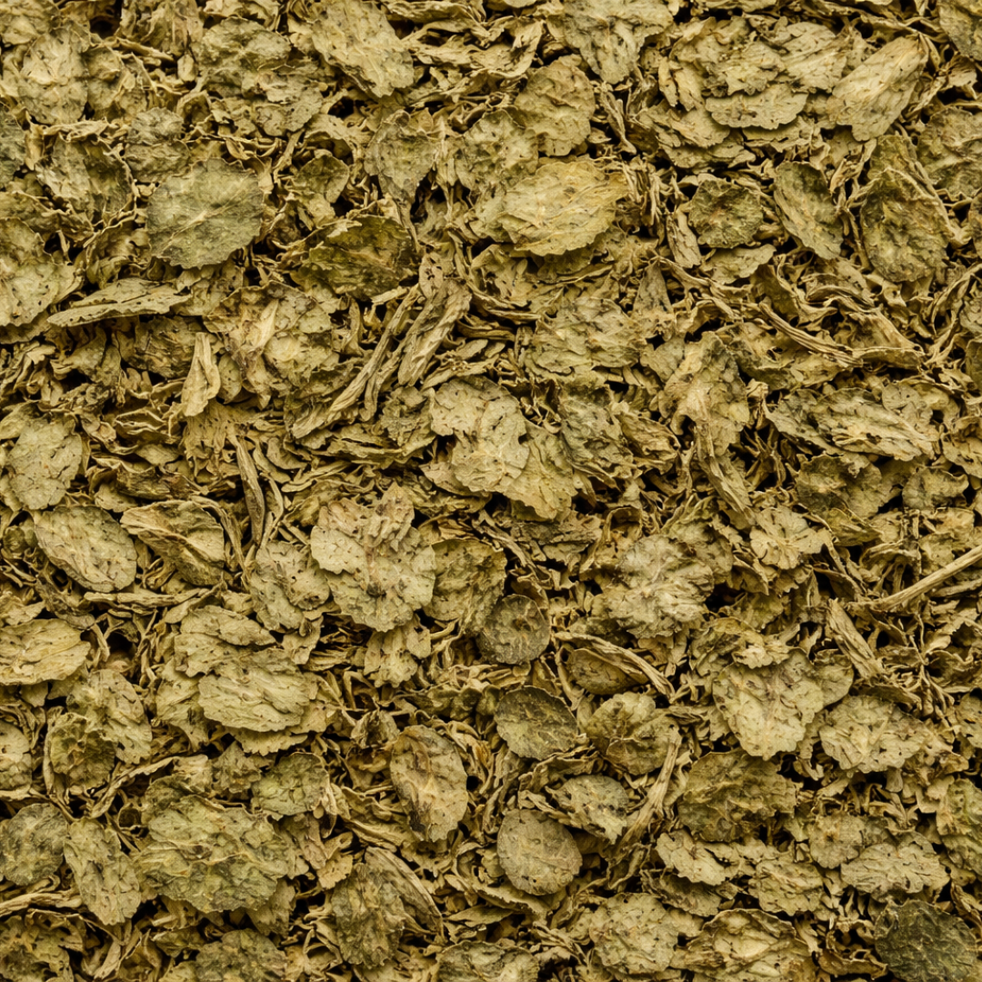 Menthe Pouliot Infusion Feuilles 200g – Mentha pulegium Naturelle