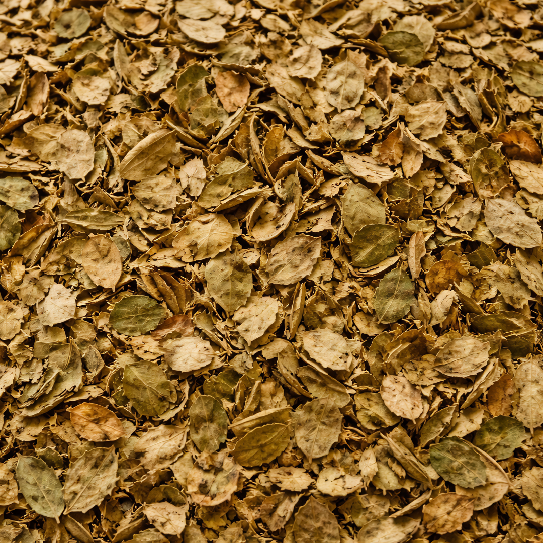 Tisane Myrte Feuille Entière – Myrtus communis Naturelle