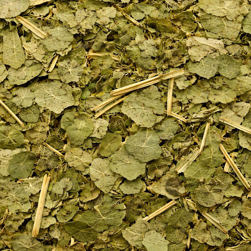 Feuilles de Margousier (Neem) – 50g / 100g / 200g – Plante Naturelle