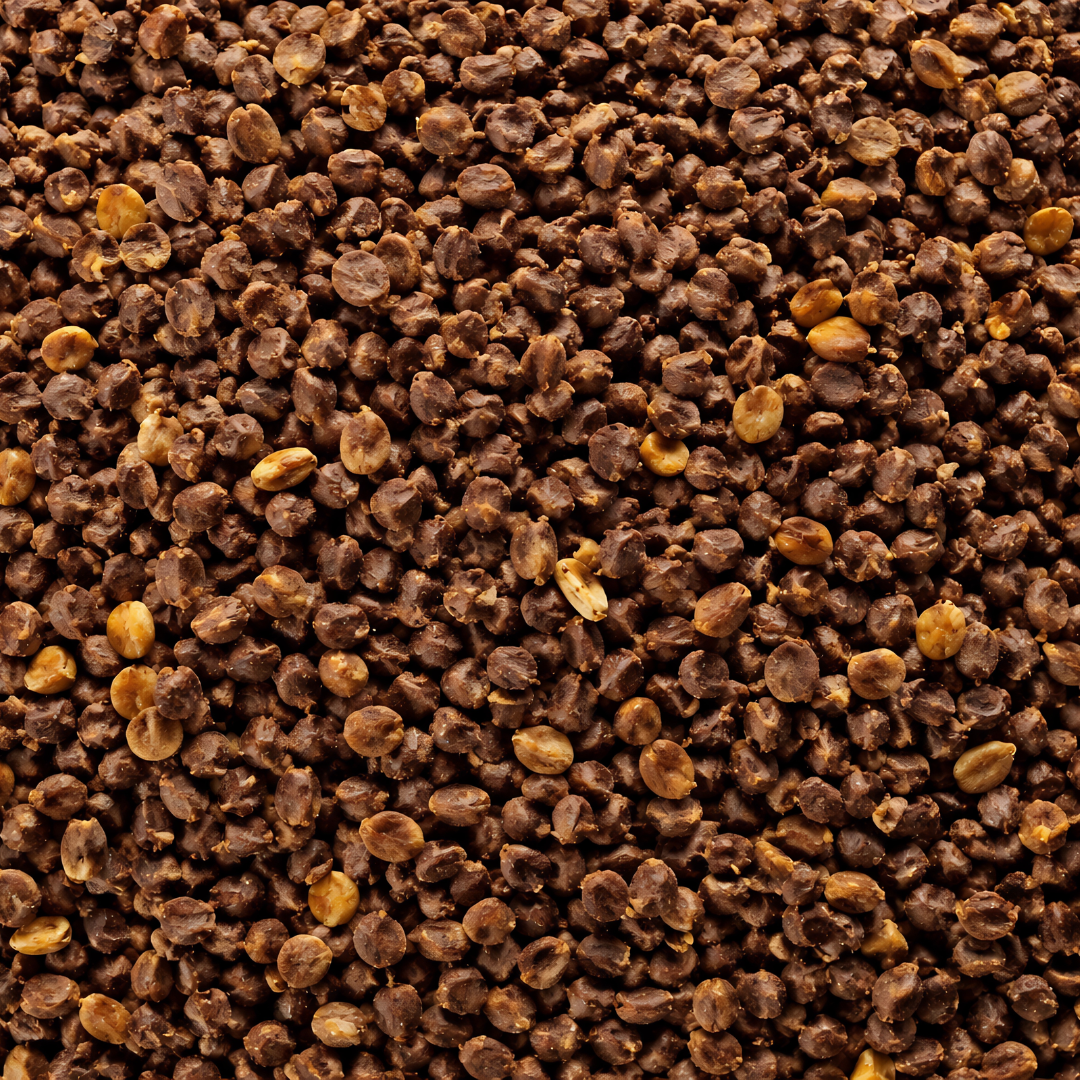 Graines de Harmel (Peganum Harmala) – Encens & Usage Traditionnel