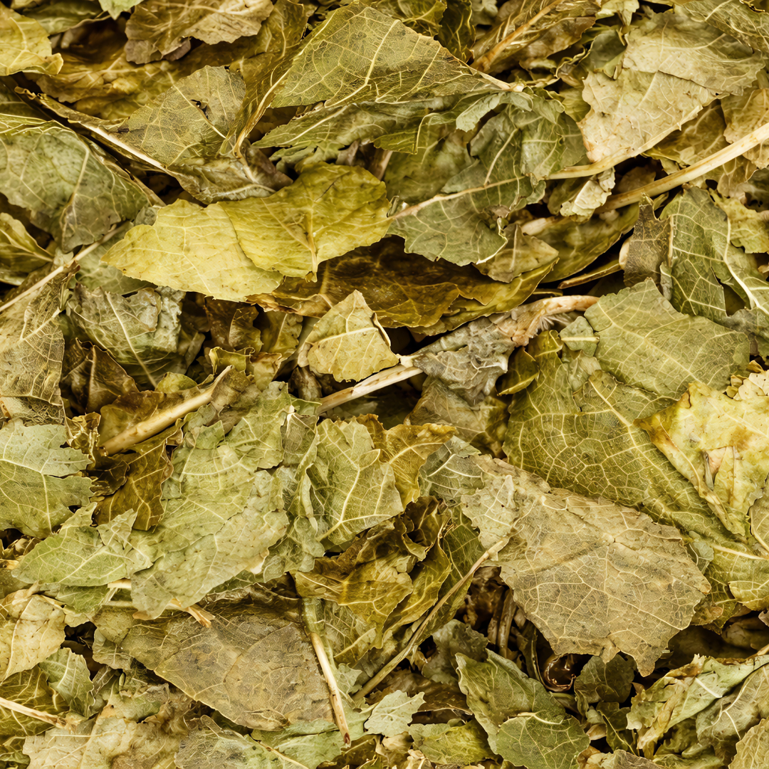 Feuilles de Framboisier Séchées – Al Toutt | 50g / 100g / 200g