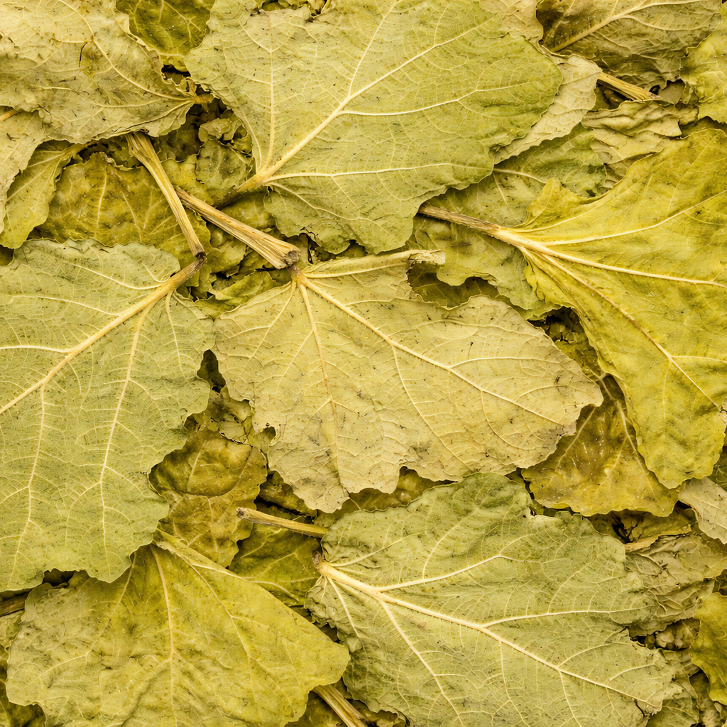 Feuilles de Figuier Séchées – 50g / 100g / 200g – Infusion Naturelle