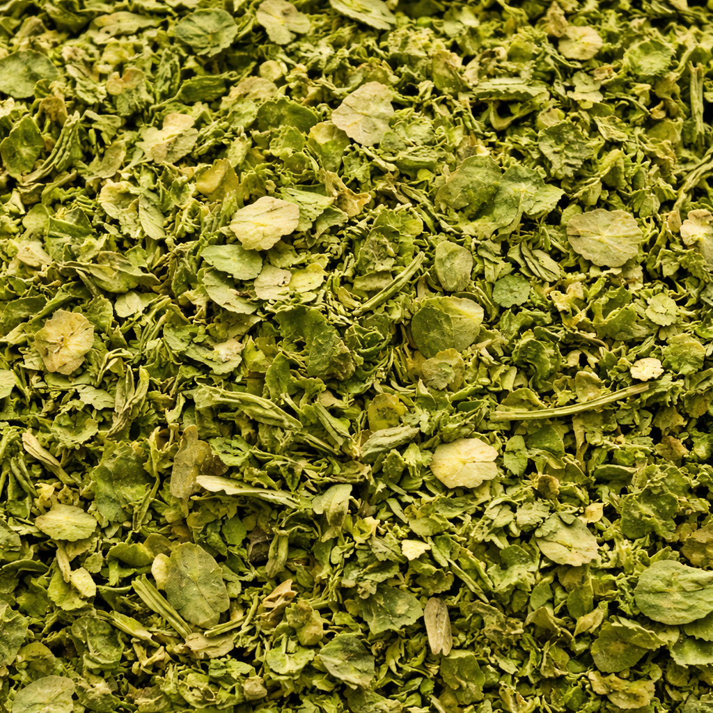 Feuilles de Moringa Séchées – Superfood Naturel & Infusion