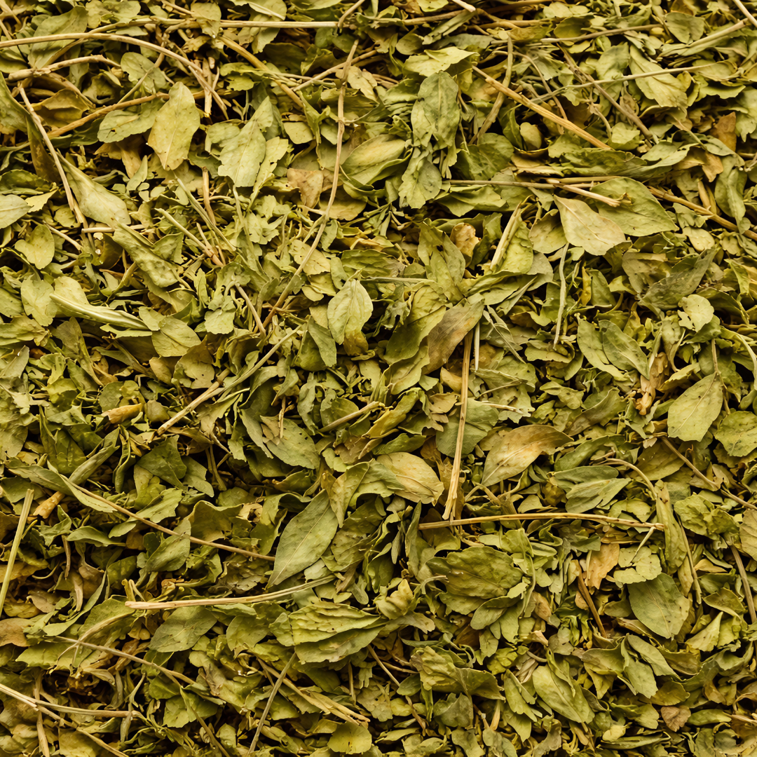Feuilles de Henné Séchées du Maroc