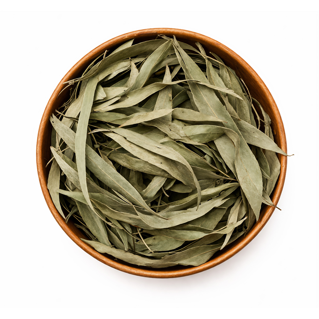 Feuilles d’Eucalyptus Séchées – 50g / 100g / 200g – Infusion & Inhalation