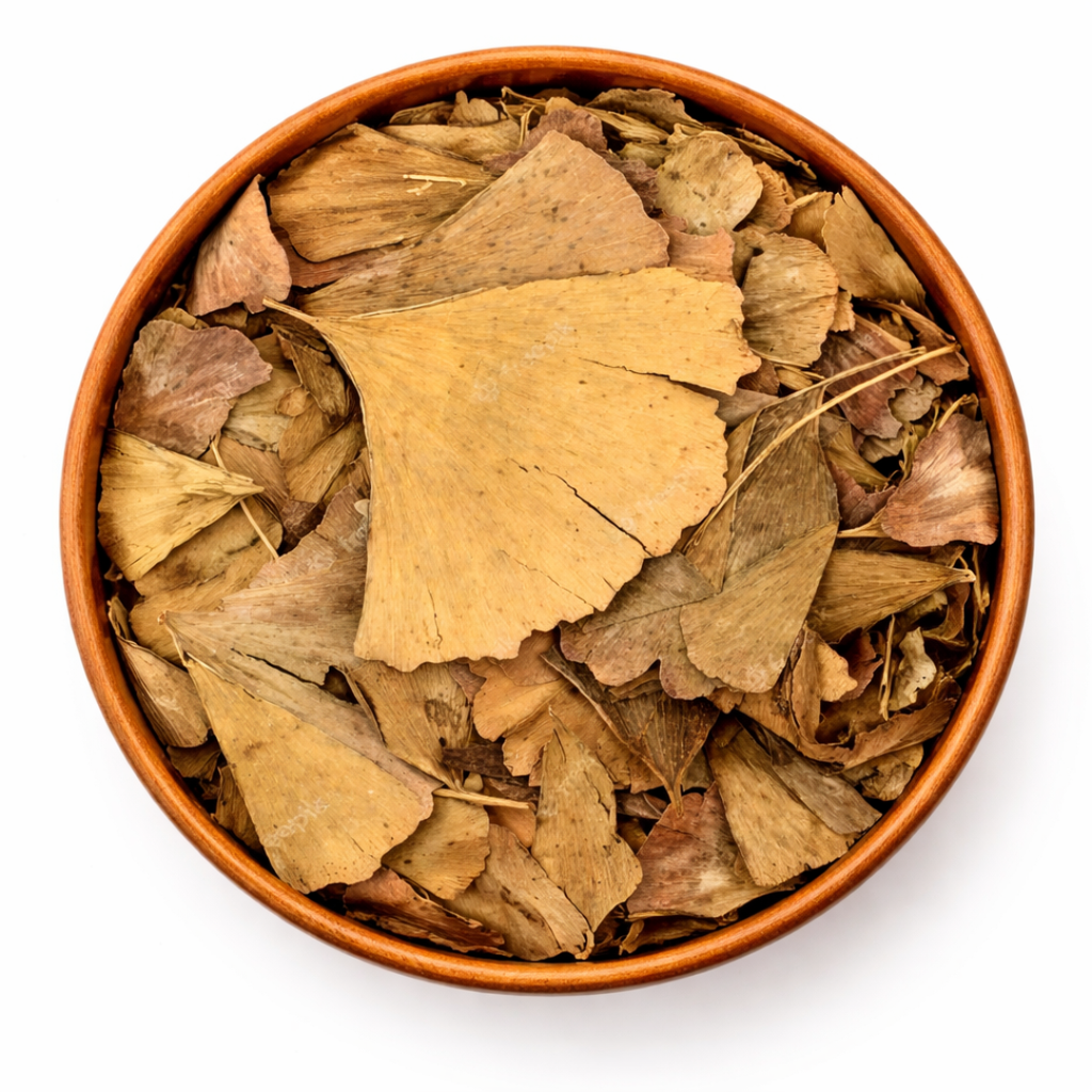 Feuilles de Ginkgo Biloba Séchées – Infusion & Bien-être Naturel