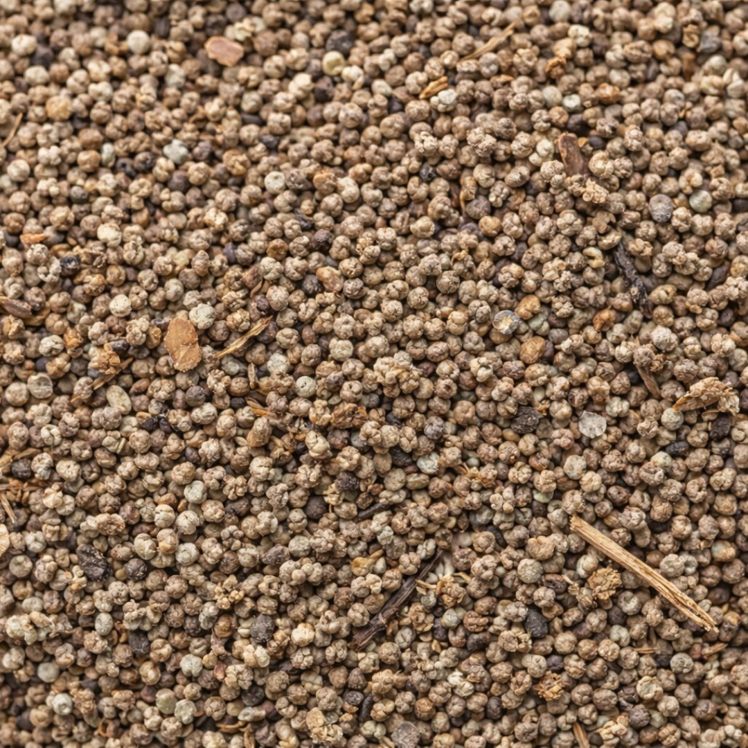 Sakarane 20g – Sekarane (Jusquiame) | Fumigation Traditionnelle
