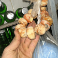 Louban El Takch الطقش المغربي 50g / 100g / 200g – Encens Traditionnel Marocain