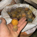 El Takch Rabha Marocain Original 50g / 100g / 200g – Encens Traditionnel