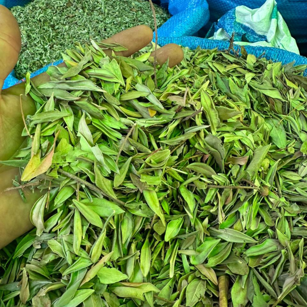 Feuille de Myrte Rayhan Vert 50g / 100g / 200g – Plante Naturelle Cheveux