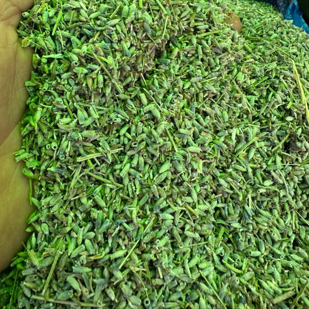 Lavande Khzama 50g / 100g / 200g – Plante Naturelle Relaxante