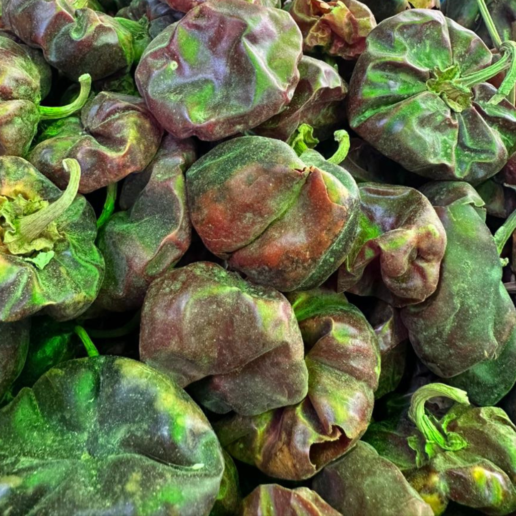 Piment Ñora Séché Entier – Piment Doux Rouge pour Cuisine Méditerranéenne