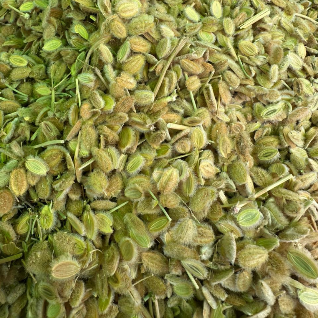 Cumin Velu Kamoun Soufi 50g / 100g / 200g – Épice Marocaine Naturelle
