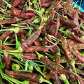 Piment Séché Rouge Soudania 50g / 100g / 200g – Épice Piquante Naturelle