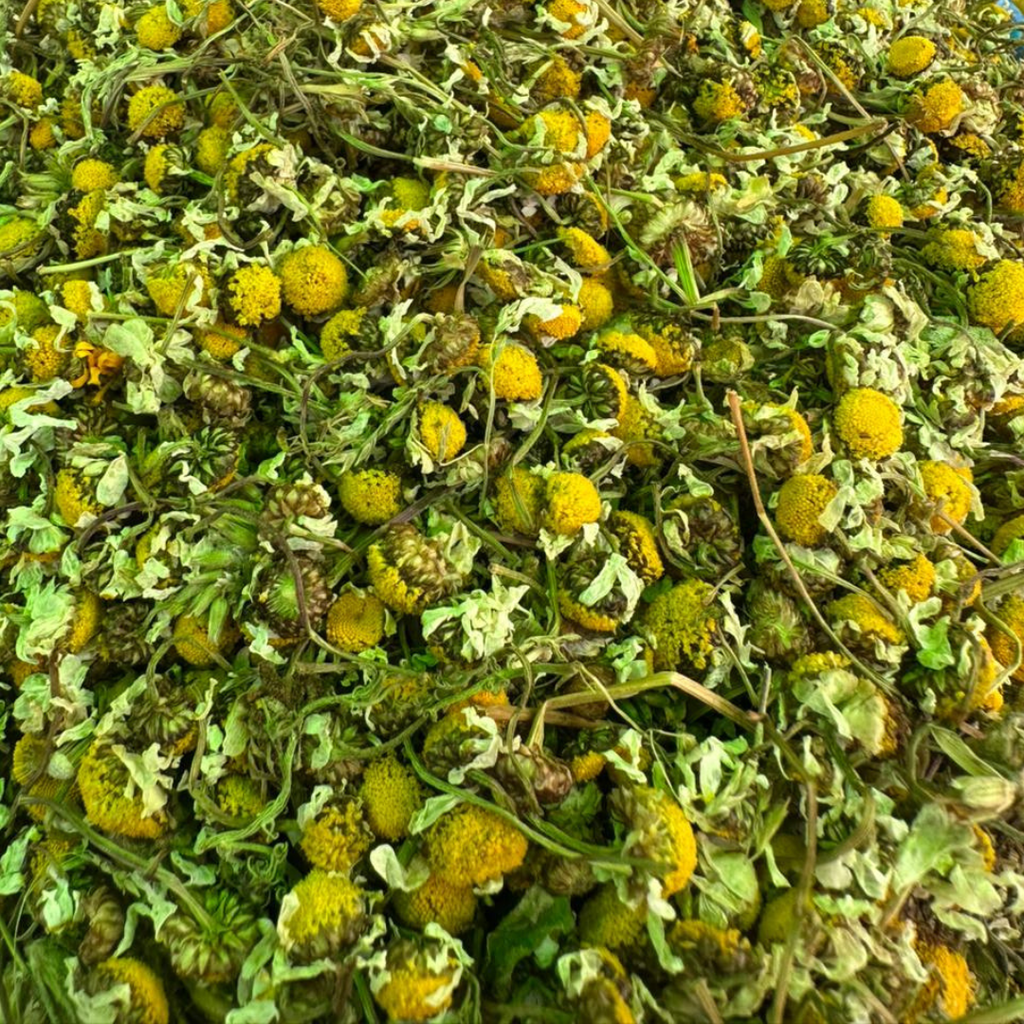 Babounj Camomille Marocaine 50g / 100g / 200g – Plante Naturelle Relaxante