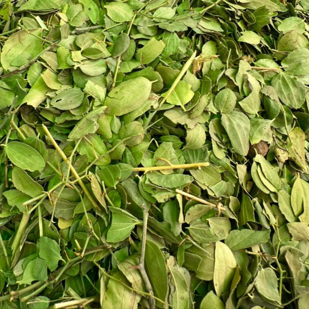 Sidr Feuille de Jujubier Sadra 50g / 100g / 200g – Soin Cheveux Naturel