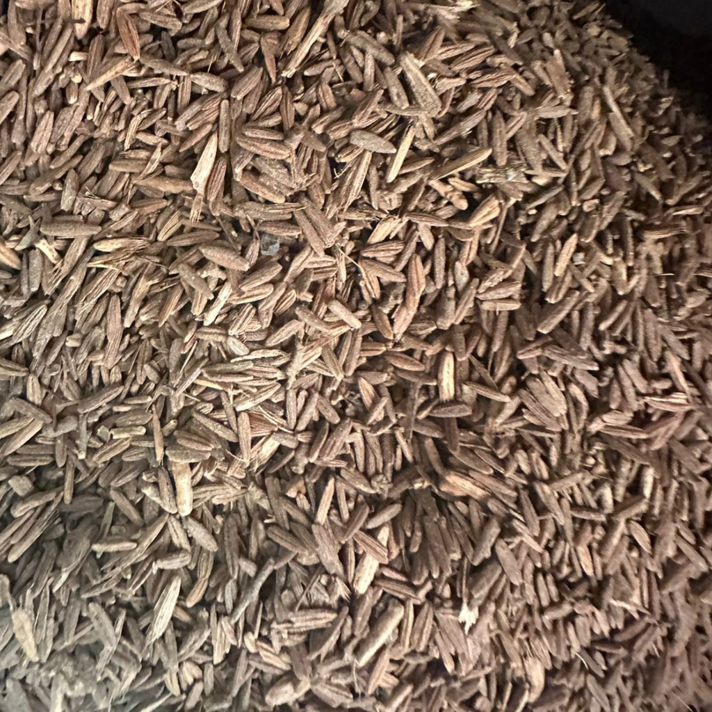 Graines Lssan Tir – Langue d’Oiseau Naturelle