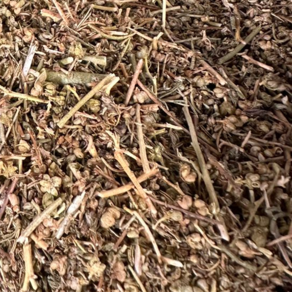 Fijel Feuilles de Rue (Ruta Graveolens) 50g / 100g / 200g – Herbe Naturelle