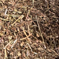 Fijel Feuilles de Rue (Ruta Graveolens) 50g / 100g / 200g – Herbe Naturelle