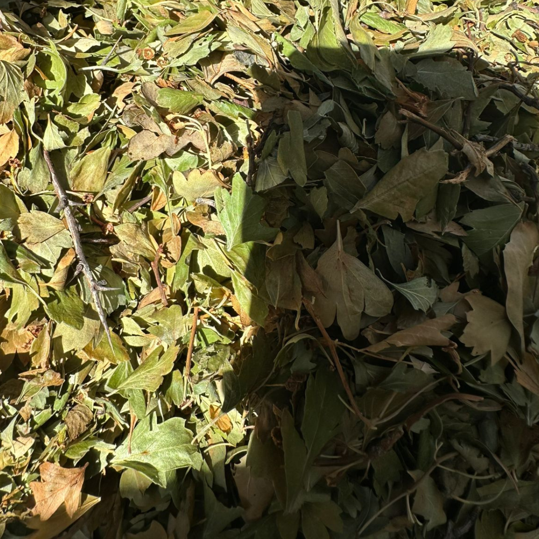 Tisane Aubépine Bio Zaarour 50g / 100g / 200g – Feuilles Naturelles Maroc