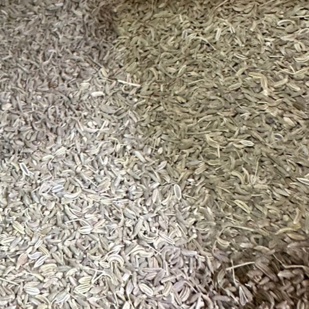 Graines de Fenouil Beldi Nafâa 50g / 100g / 200g / 1000g – Épice Naturelle
