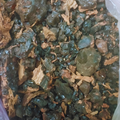 Moql Azrak – Makal Bleu | Commiphora Mukul Gugal Pur (مقل أزرق)