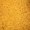 Graines de Moutarde Jaune – Douces & Aromatiques