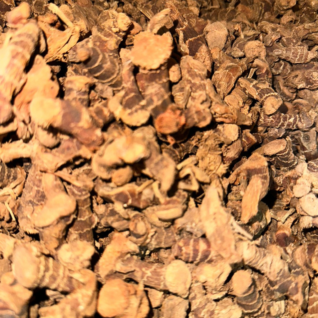 Khoudanjal (Galanga) – Racine Aromatique Naturelle