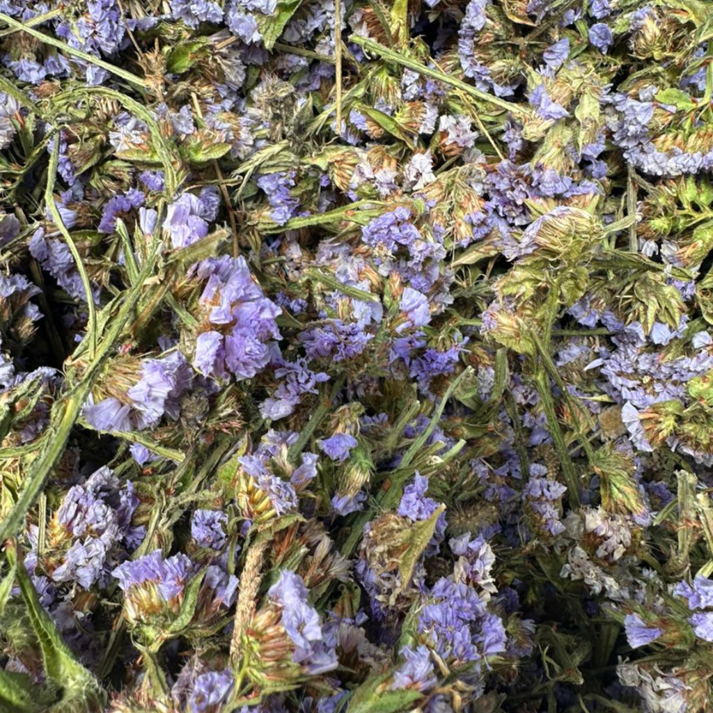 Tisane El Handabae – Chicorée Séchée Naturelle