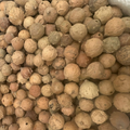 Noix de Galle – El Afssa 3afssa Colorant Naturel