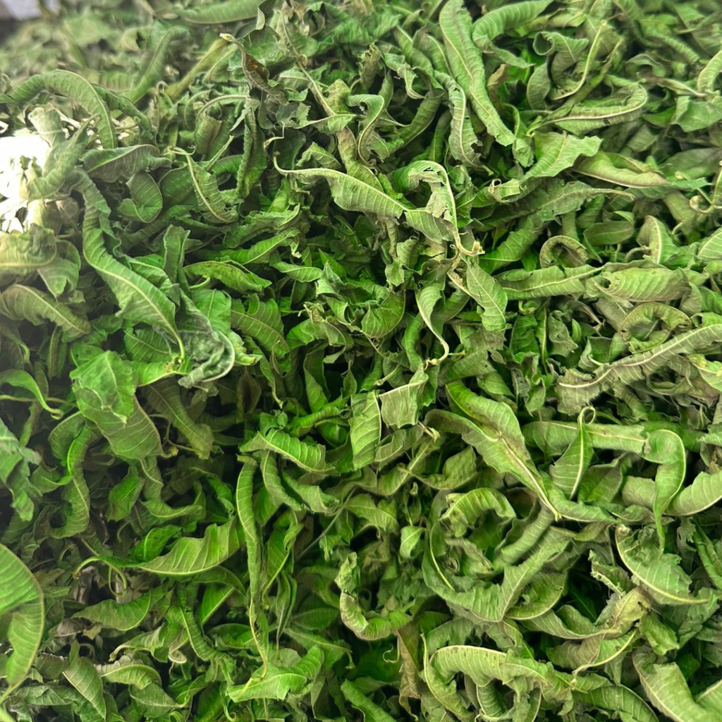Verveine Louiza Bio 50g / 100g / 200g – Tisane Naturelle Digestive & Relaxante